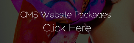 CMS Websites Packages